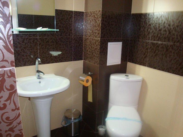 Tzvetelina Palace Hotel Dolna Banya Luaran gambar