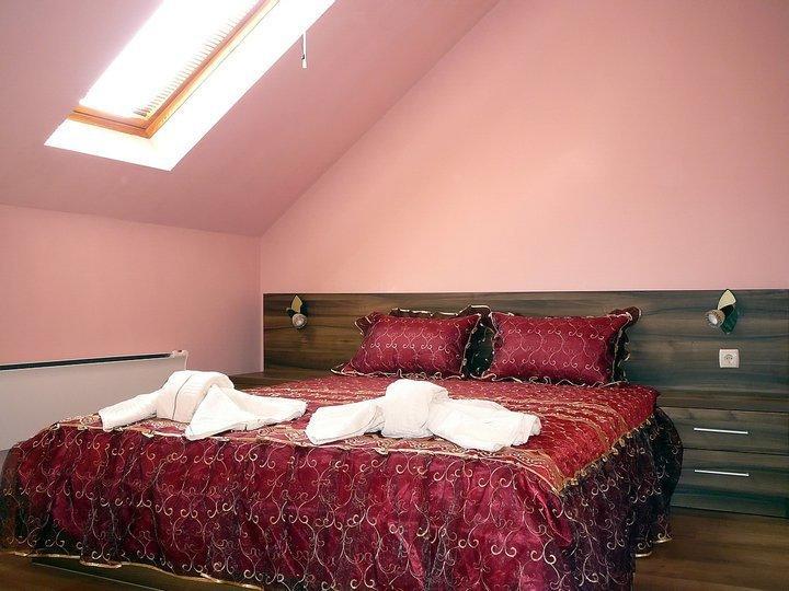 Tzvetelina Palace Hotel Dolna Banya Bilik gambar