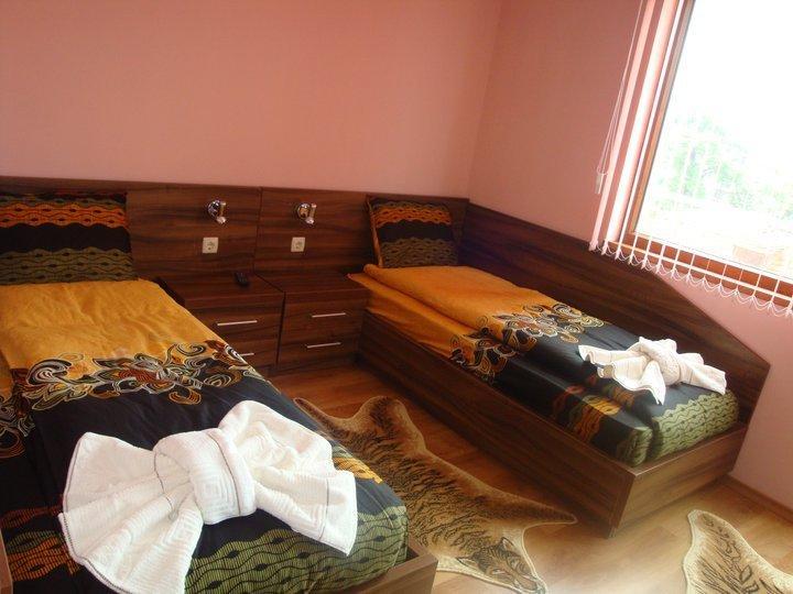 Tzvetelina Palace Hotel Dolna Banya Bilik gambar