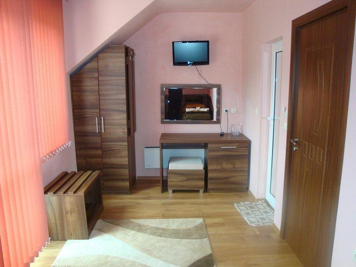 Tzvetelina Palace Hotel Dolna Banya Bilik gambar
