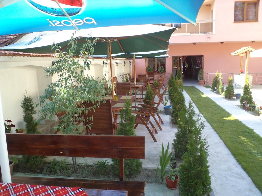 Tzvetelina Palace Hotel Dolna Banya Luaran gambar